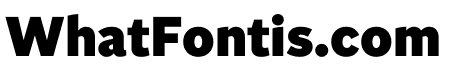 Independent Sans Black