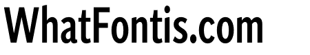Independent Sans Condensed Medium
