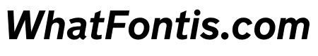 New Transport Bold Italic