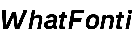 Recognition Bold Italic