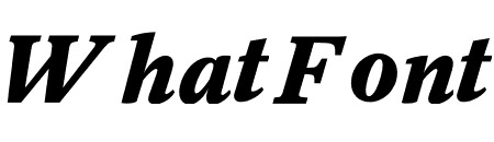Register Extrabold Italic