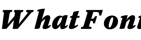 Register Heavy Italic
