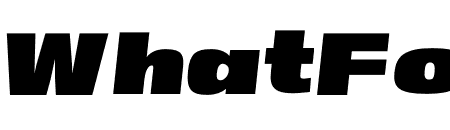 ATC Duel V10 Italic