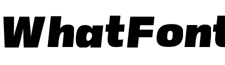 ATC Duel V6 Italic