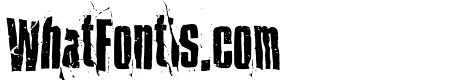 Repo Pocket Condensed