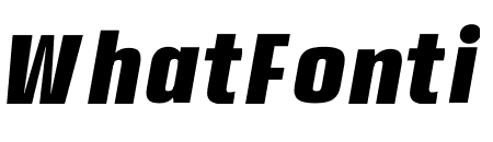 ETC ANYBODY BLACK NARROW ITALIC