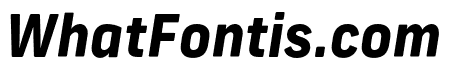 New Frank ExtraBold Italic