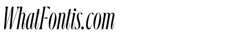 GRIFINITO L LIGHT ITALIC