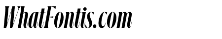 GRIFINITO L MEDIUM ITALIC