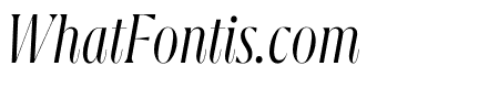 GRIFITO L LIGHT ITALIC