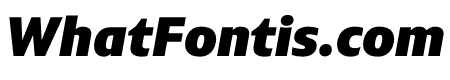 PLURAL BLACK ITALIC