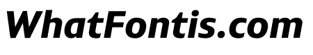 PLURAL BOLD ITALIC