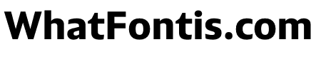 PLURAL BOLD