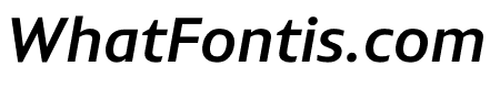 PLURAL MEDIUM ITALIC
