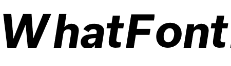 USUAL BOLD ITALIC