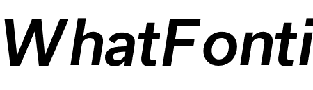 USUAL MEDIUM ITALIC