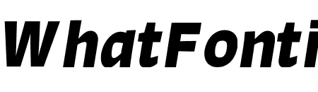 SIGNO BOLD ITALIC