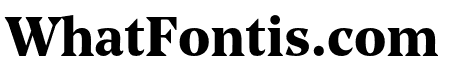 Noe Text Bold
