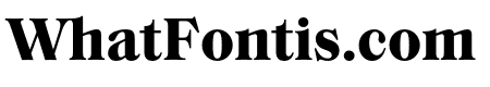 Saol Text Bold