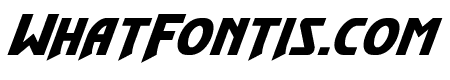 Flash Rogers Expanded Italic