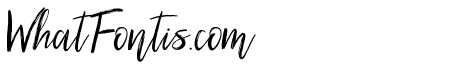 Silhouetto Script