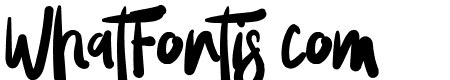 Wowi Typeface