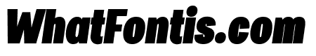 Specify PERSONAL Condensed Black Italic