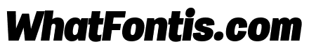Specify PERSONAL Normal Black Italic