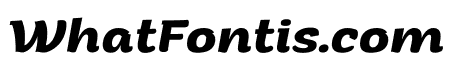 Arturo Trial Bold Italic