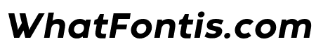 Codec Warm Trial ExtraBold Italic