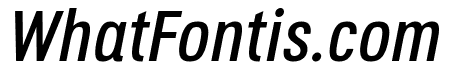 Octagen Roman Roman Italic