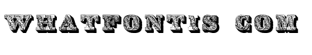 DS Lettres omb?es orn?es
