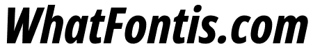 Noto Sans ExtraCondensed ExtraBold Italic