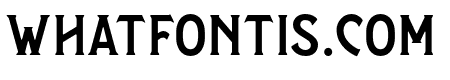 Salveation-Serif