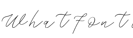 Weisston Script