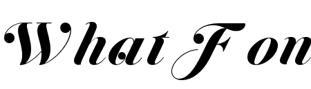 Jitzu Swash Bold