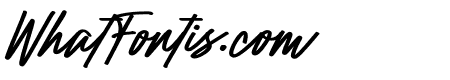 Raidden Bold Italic