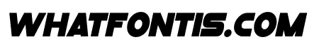 Meltland Black Italic