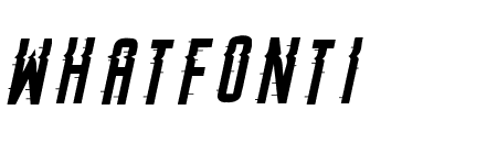 Searching For Signal Italic