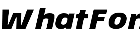 ?co Sans Pro 94 Black Extended Italic