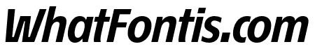 ?co Sans Pro 76 Bold Italic