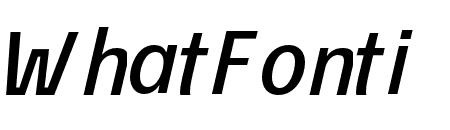 ?co Sans Pro 66 Medium Italic