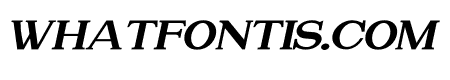 Attention Serif Slant Bold Bold Italic