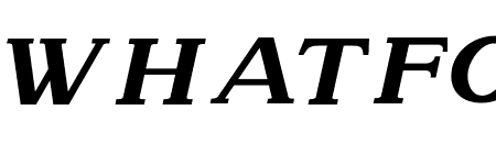 Attention Serif Slant Extra Bol Bold Italic