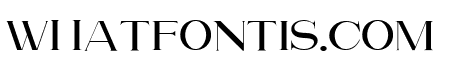 Attention Serif Thin