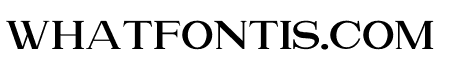 Attention Serif