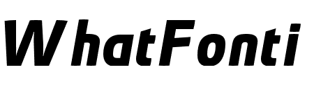 Absolut Pro Bold Italic
