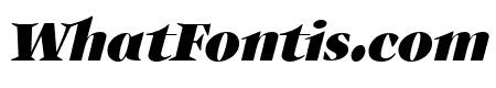 Auxerre 86 Black Italic