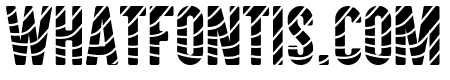 SALMOON