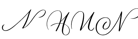MONOGRAM N